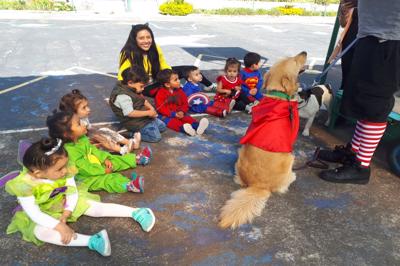 Estimulación canina en Centro Infantil Gardner Mini Academy en Quito Valle de los Chillos